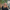 Zandra, COO på Webmind, porträtt på kontoret